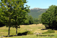 Mt. Monadnock and Trough - Summer